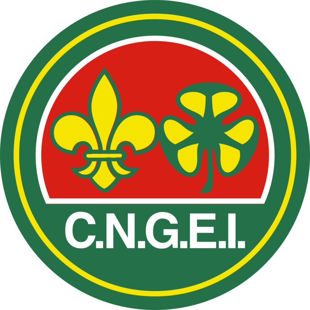 Logo_CNGEI.svg