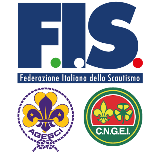Logo FIS